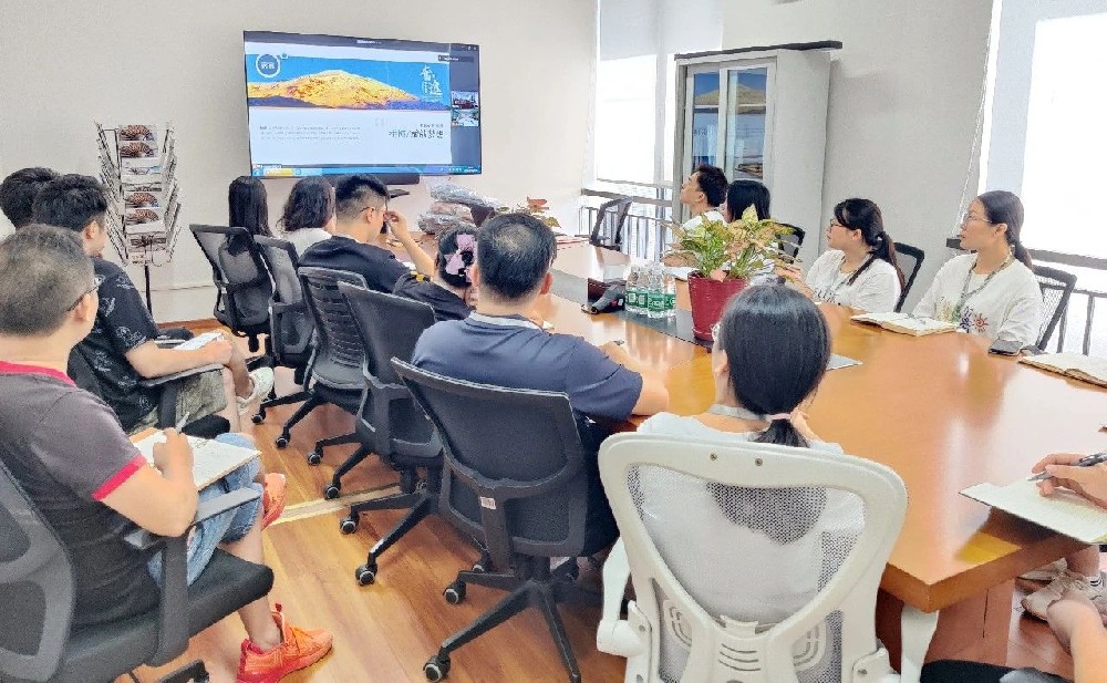 總結成果，?明確方向——微視光電7月績效分析會